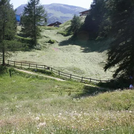 Chalet Z' Flesche